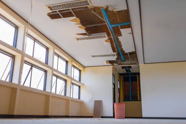 Best Flooded house restoration  in New Berlinville, PA