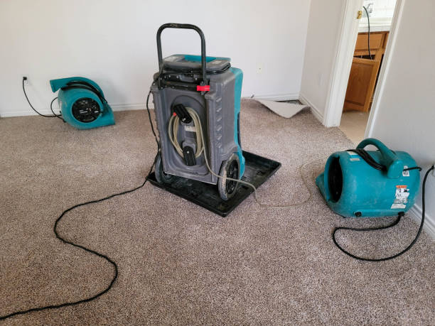 Best Water damage restoration specialists  in New Berlinville, PA