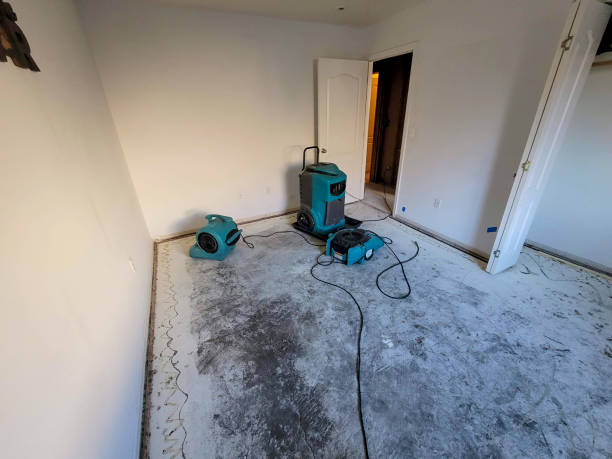 Best Sewage cleanup and water damage restoration  in New Berlinville, PA