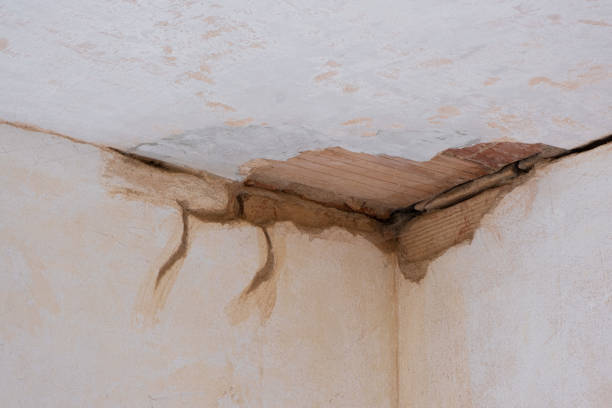 Best Water damage repair service  in New Berlinville, PA