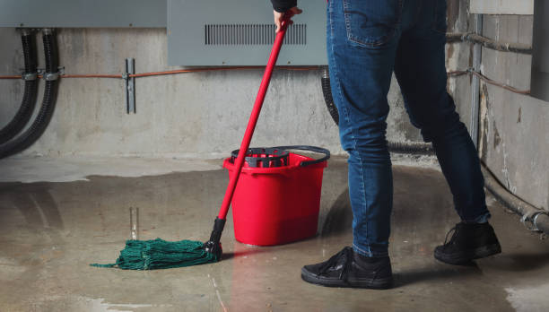 Best Sewage cleanup and water damage restoration  in New Berlinville, PA