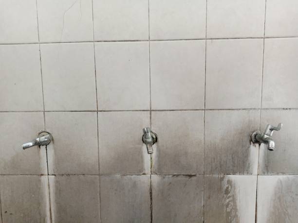 Best Flood restoration services  in New Berlinville, PA