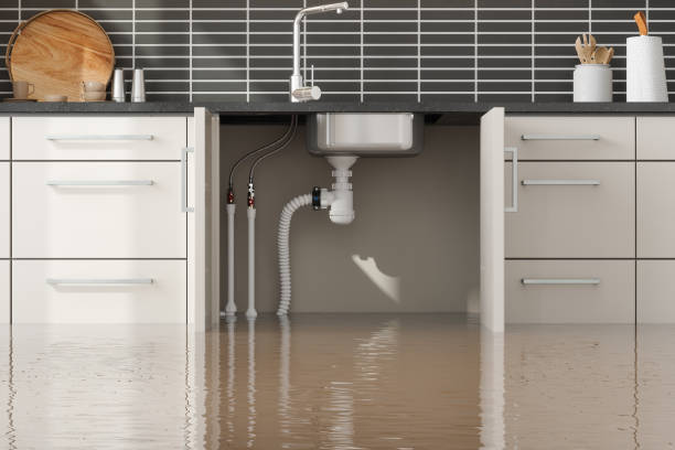 Best Professional water damage repair  in New Berlinville, PA