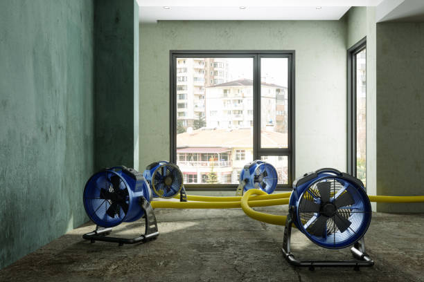 Best Basement water damage restoration  in New Berlinville, PA