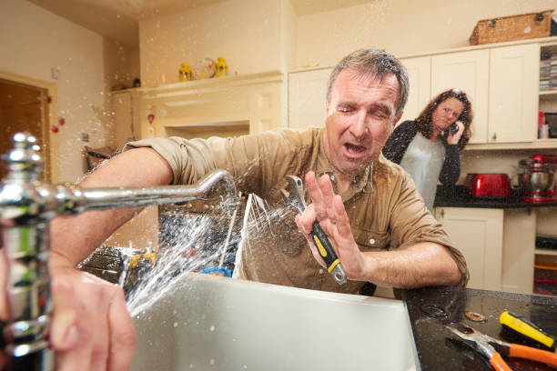 Best Professional water damage repair  in New Berlinville, PA